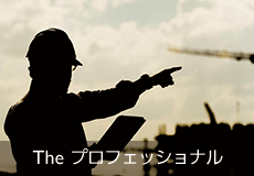 【Theプロフェッショナル】