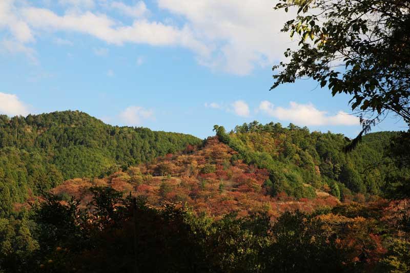 吉野山