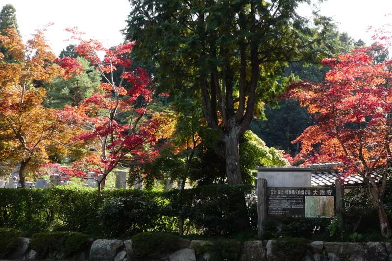 大池寺