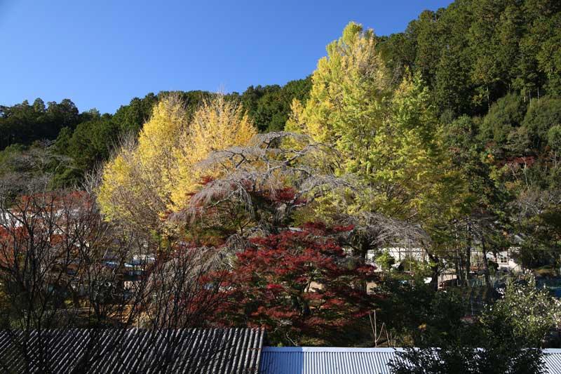 鳳来寺山