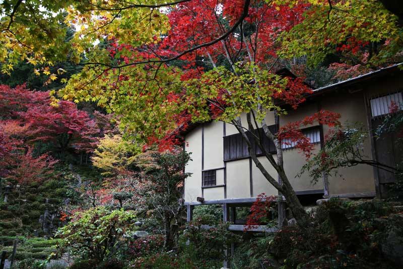 金剛輪寺