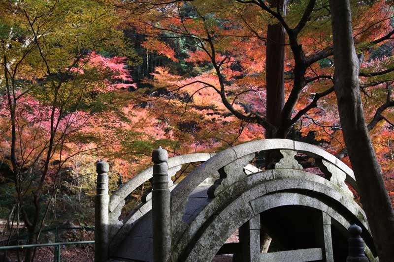 大矢田神社