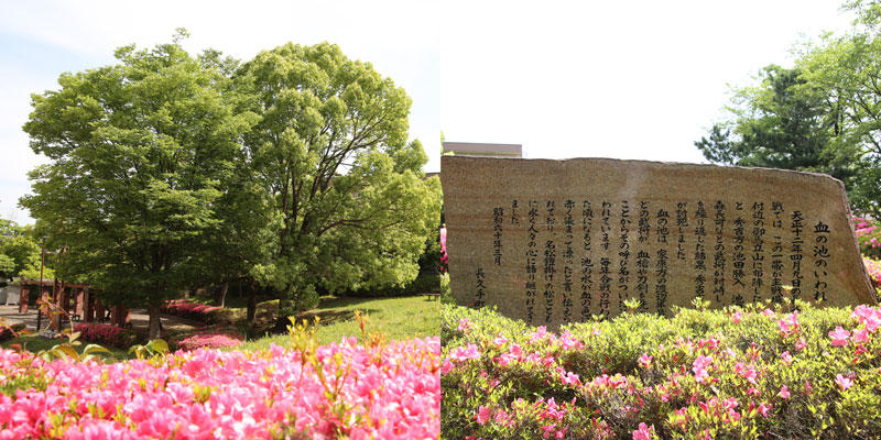 長久手血の池公園