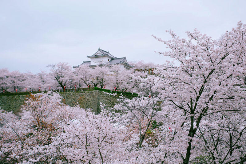 津山城