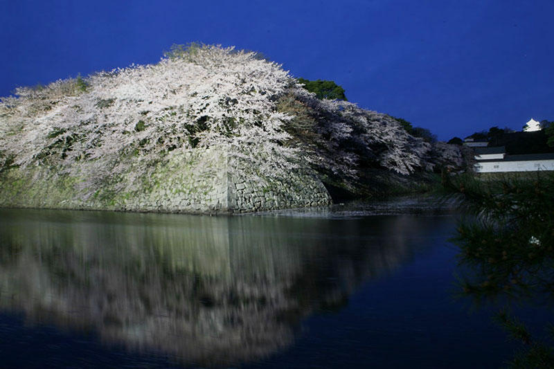 彦根城