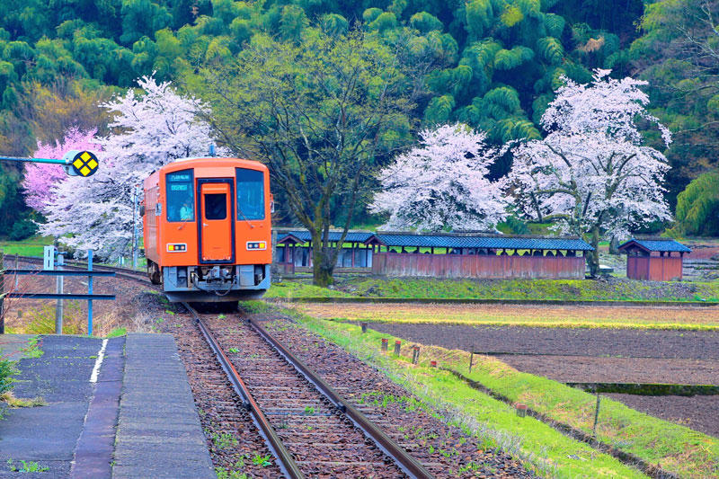 一乗谷朝倉氏遺跡