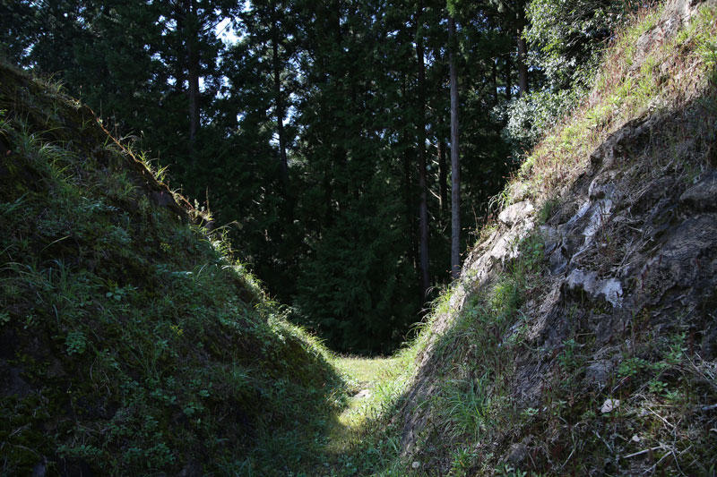 高根城跡