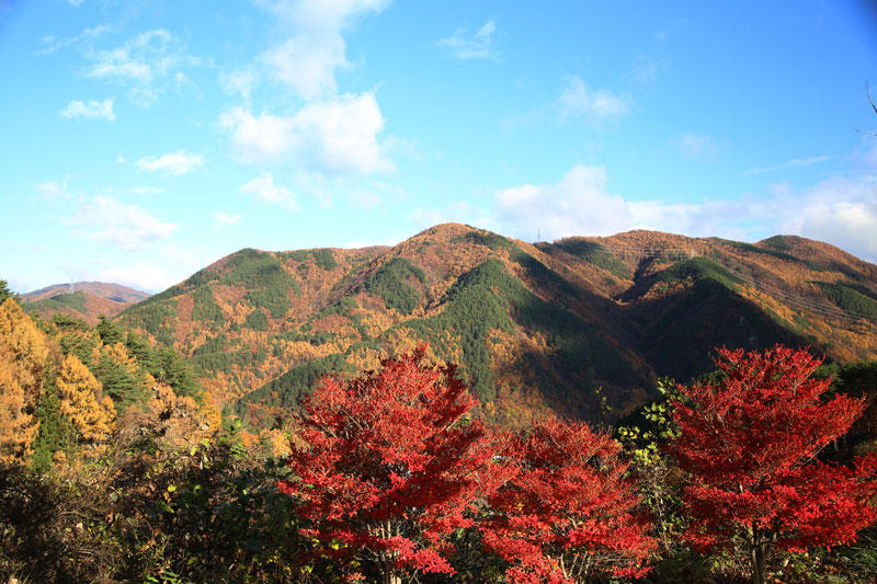 真田本城