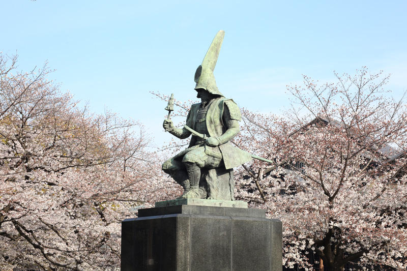 名古屋城の桜