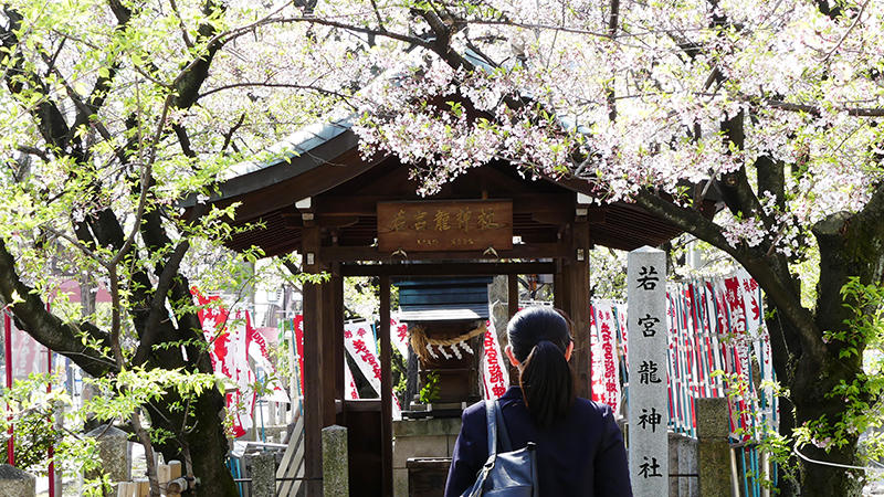 大須の街をまわってみた