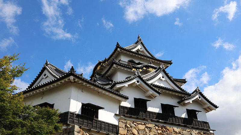 【社員がゆく】今年の夏は彦根でなぞとき