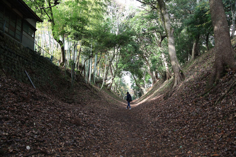 小田原城総構