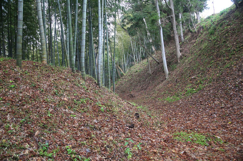 小田原城総構