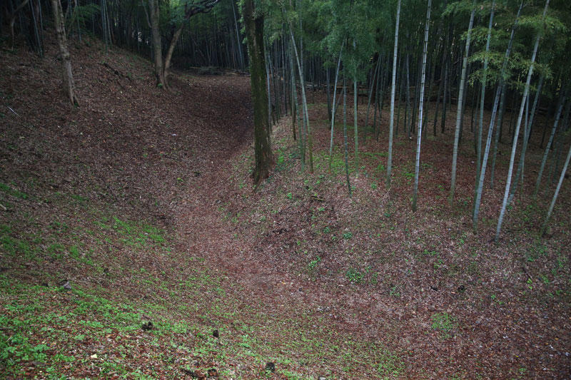 小田原城総構