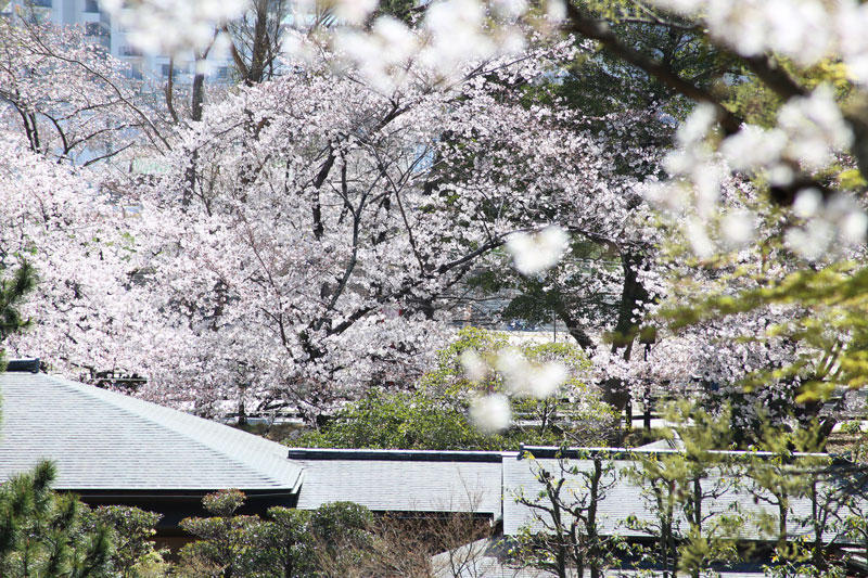 岡崎城