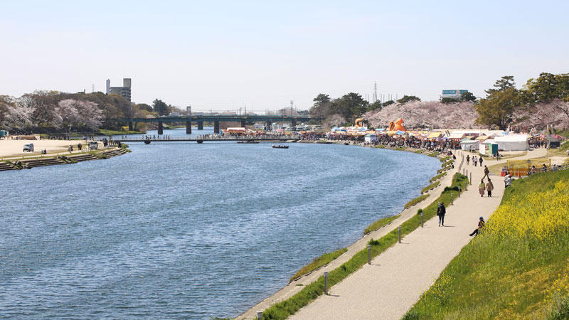 岡崎へ！徳川家康のふるさとの春巡り