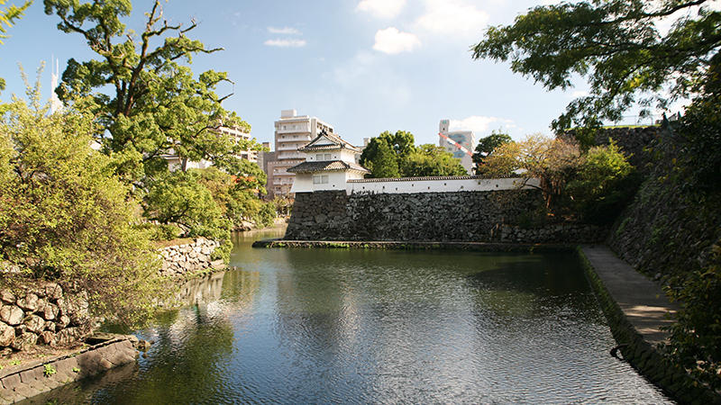 【社員がゆく】大分県の城たち