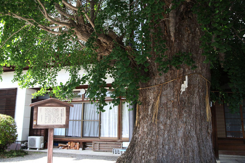 和田神社