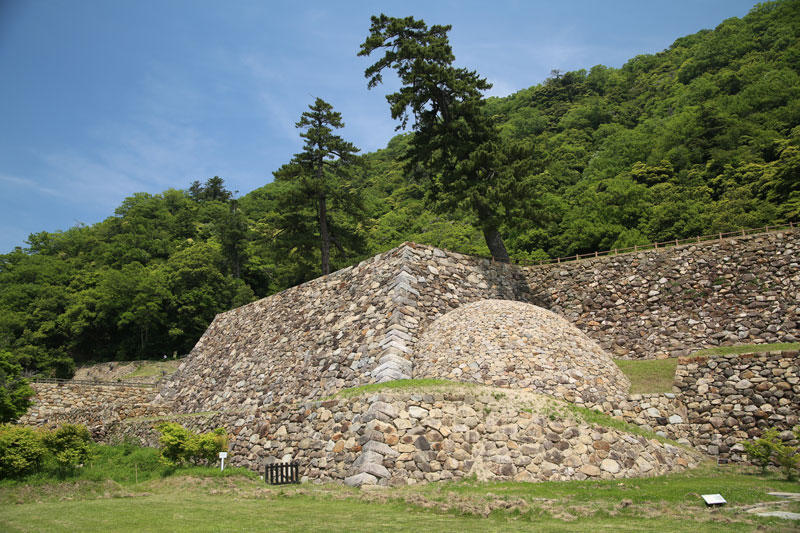 鳥取城