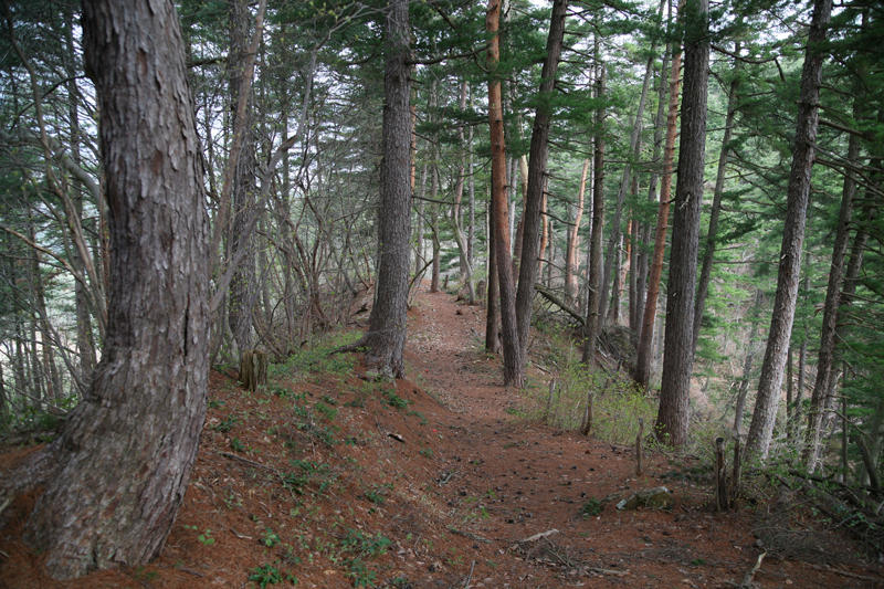 江馬氏城館跡