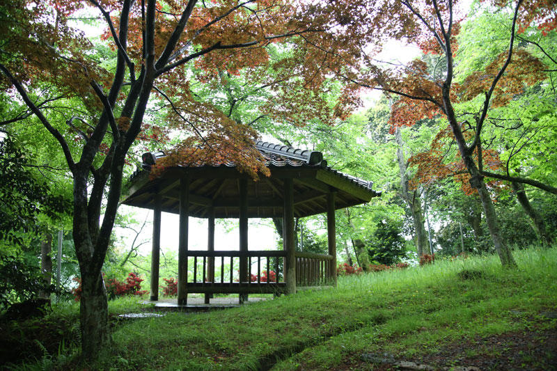 鹿野城